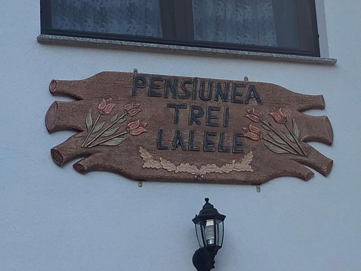 Pensiunea Trei Lalele Moisei Εξωτερικό φωτογραφία