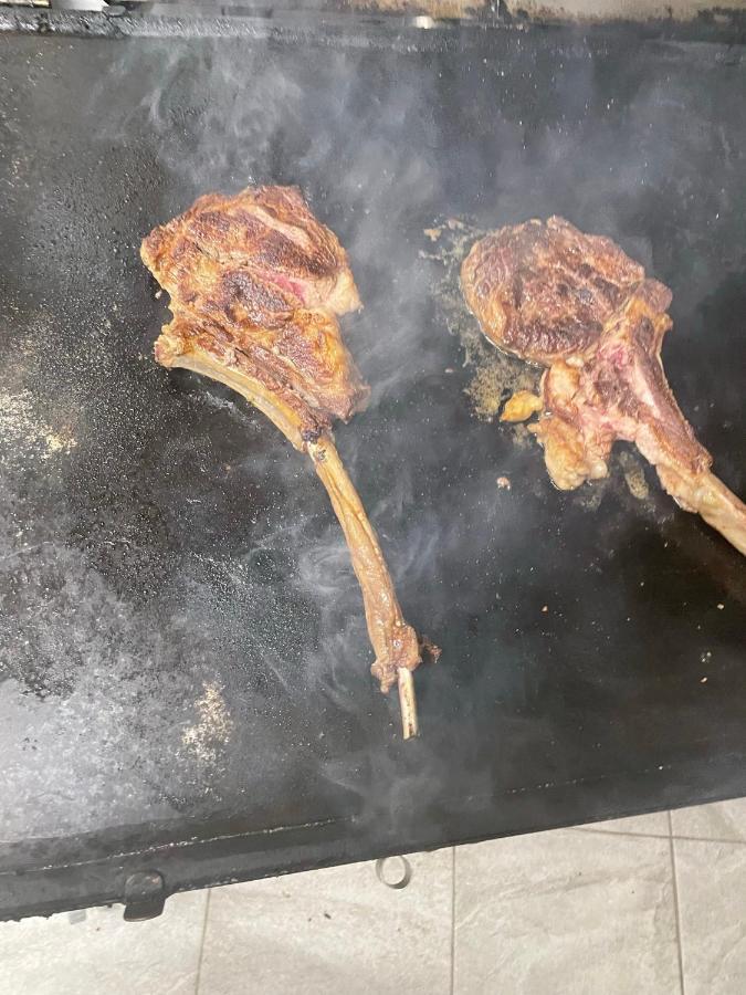 Pensiunea Trei Lalele Moisei Εξωτερικό φωτογραφία